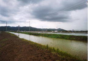 250708持续深入开展“清网”行动，切实加强野生鸟类保护 (3).png