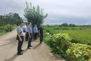 250708持续深入开展“清网”行动，切实加强野生鸟类保护 (4).png