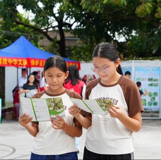250821江门市自然资源局举办 “古树公园探秘行动” 聚焦绿色古董守护与科普 (10).jpg