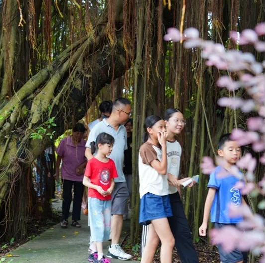 250821江门市自然资源局举办 “古树公园探秘行动” 聚焦绿色古董守护与科普 (20).jpg