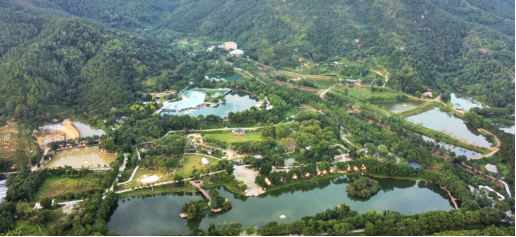 250917我市鹤城塘口两镇荣获省全域土地综合整治财政激励奖补 (1).png