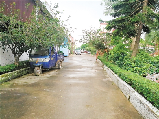 杜阮镇松园市场旁经过整治,没有继续出现乱堆放杂物情况,一直保持着干净、整洁的状态。胡晴晴摄 杜阮镇松园市场旁经过整治,没有继续出现乱堆放杂物情况,一直保持着干净、整洁的状态。胡晴晴摄